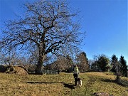 In CANTO ALTO da Cler di Sedrina - Prati Parini il 15 mgennaio 2022 - FOTOGALLERY